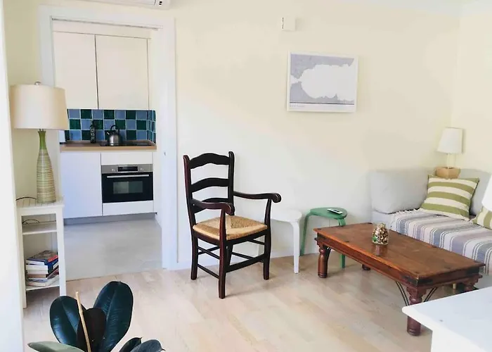 Big Terrace Penthouse In Old Town Marbellac